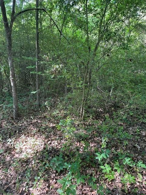 Lunday Land Add - Land