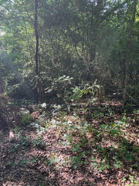 Lunday Land Add - Land