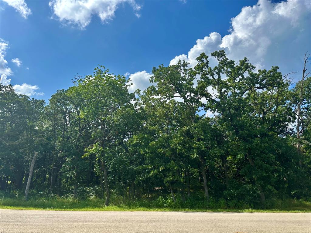 Grand Cypress Addition Phase 1 - Land