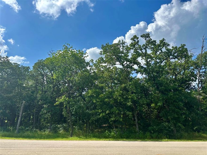 Beautiful lot in Rock Creek Resort on Lake Texoma – Golf Membership Included! Build your dream home in the exclusive Rock Creek Resort, a gated, master-planned community on the shores of Lake Texoma. 

This .27-acre golf course lot, looking out over hole 10, offers the perfect setting for a full-time residence or weekend retreat. Property ownership includes a membership to the Jack Nicklaus Golf Course, ranked among the best in Texas.

Enjoy access to resort-style amenities including a marina, clubhouse, restaurant, fitness center, swimming pool, hiking trails, and more—all surrounded by natural beauty and just 90 minutes north of Dallas-Fort Worth.

Highlights:
   •   .27-acre lot, level and build-ready
   •   Golf membership included with ownership
   •   Private, gated community with 24-7 security
   •   Access to marina, lake, clubhouse, and resort amenities
   •   No required build timeline
   •   Short drive to dining, shopping, and medical facilities

Don’t miss this opportunity to own in one of North Texas’ premier lake and golf communities!