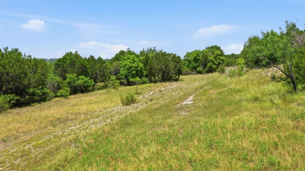 Photo of 5155 Skyline Drive, Bluff Dale, TX 76433 (MLS # 21320688)