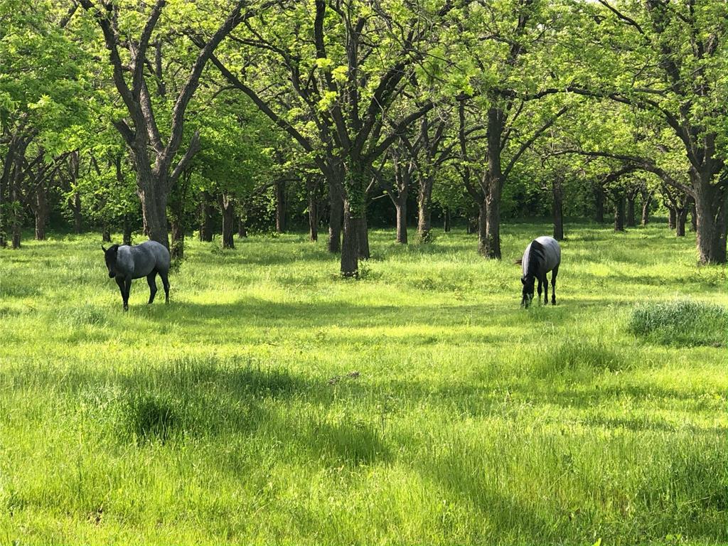 M D Dickey - Residential