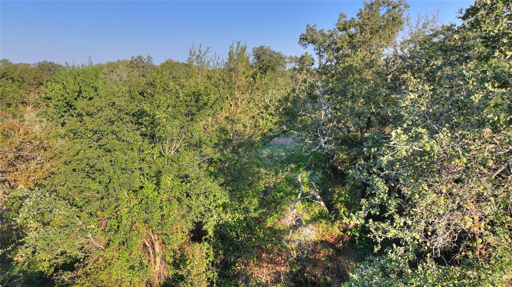 Old Wd Ranch Ph I Sec E - Land