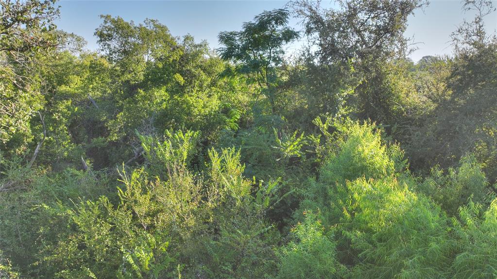 Old Wd Ranch Ph I Sec E - Land