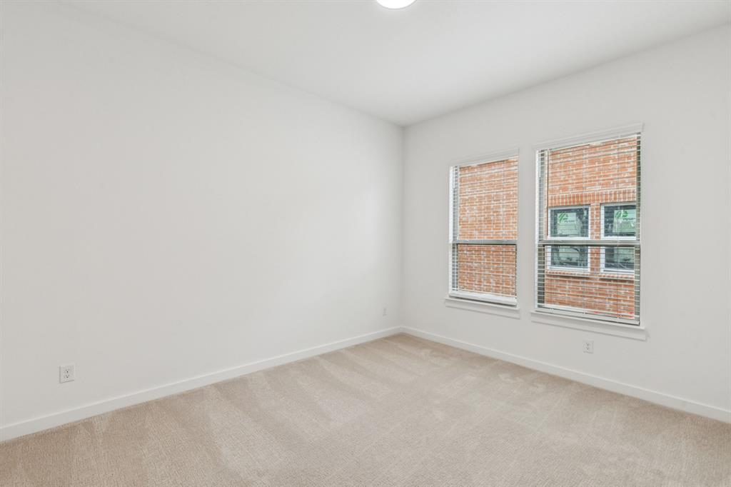 Painted Tree - Residential