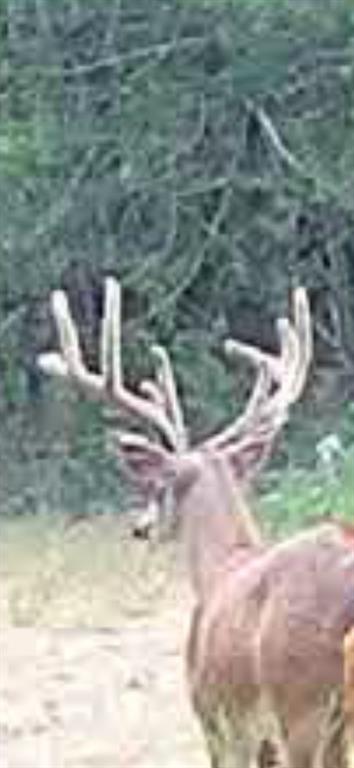 Bryan Co Unplatted - Residential