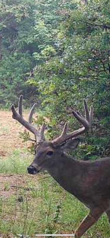 Bryan Co Unplatted - Residential