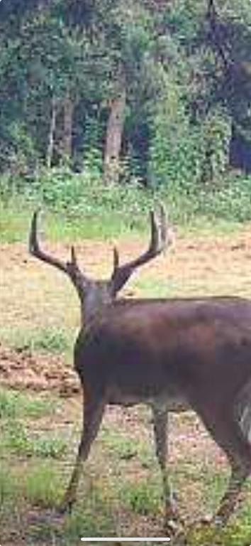 Bryan Co Unplatted - Residential