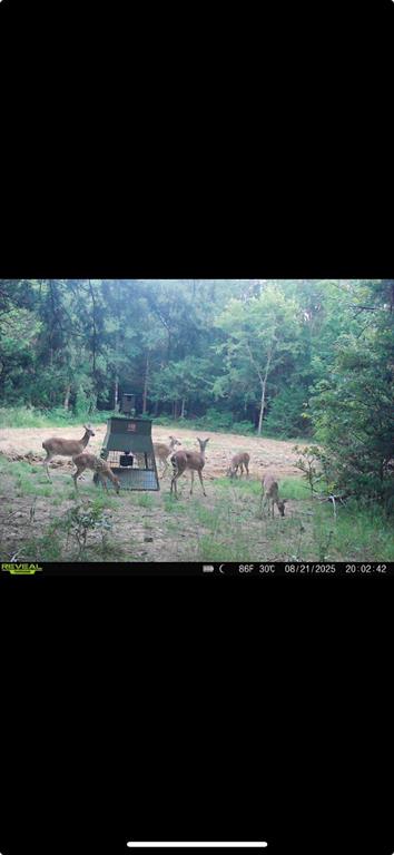 Bryan Co Unplatted - Residential