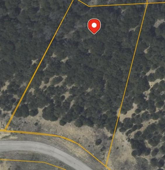 1397 Canyon Wren South Loop