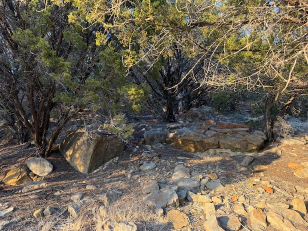 1397 Canyon Wren South Loop