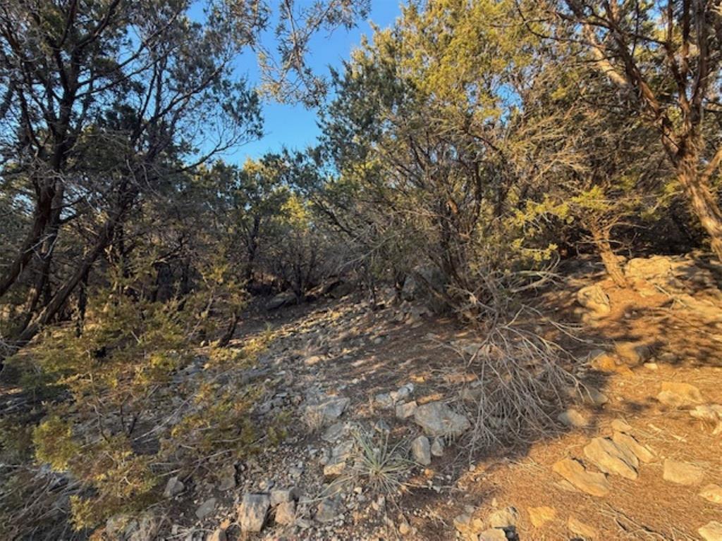 1397 Canyon Wren South Loop