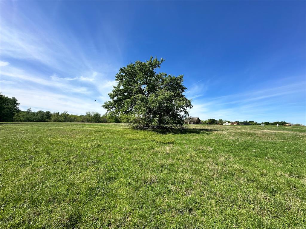 Sandy Cove Ranch - Land
