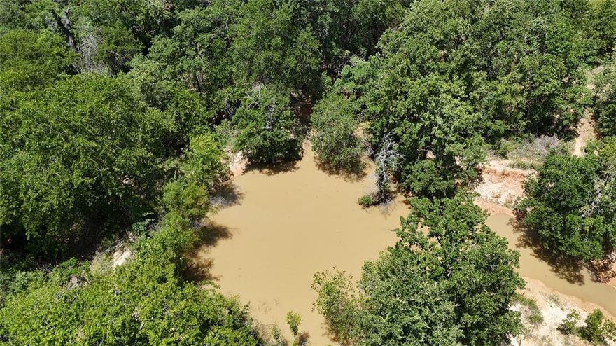 Escape to the peace and privacy of this stunning 53+ acre slice of heaven. Whether you're envisioning a weekend retreat, a homestead, or a productive ranch, this land is ready for your vision. 

Fully fenced with a gated entry, this property offers the ideal blend of open pasture and mature woods. Enjoy established driving trails, a private pond, and prime habitat for hunting. Looking for more acreage? An additional 42+ neighboring acres are available for expansion! (MLS # 20943578)

This tucked away oasis provides easy access while still feeling worlds away. Don’t miss this rare opportunity to own a versatile piece of Texas land with endless potential!