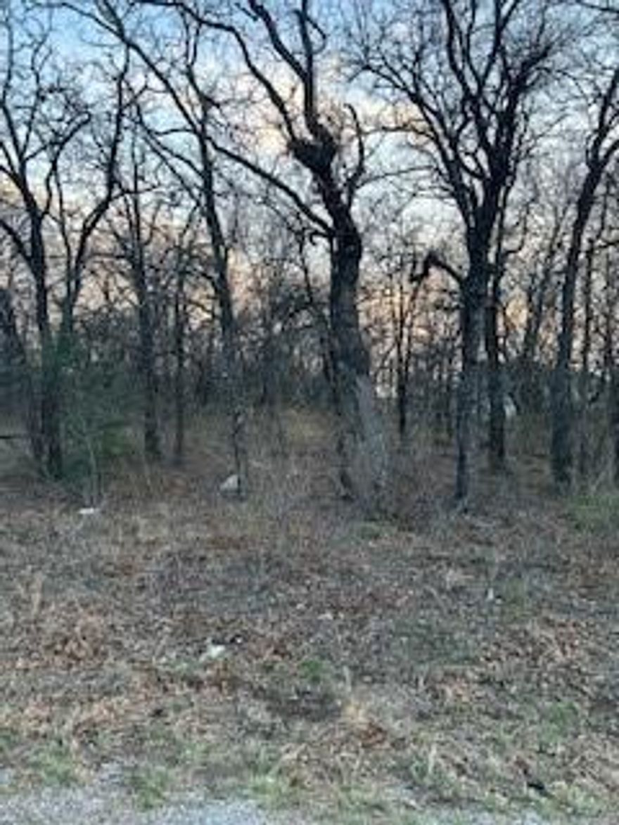 Great opportunity to build in the desirable Runaway Bay community. This wooded lot offers a peaceful setting just minutes from Lake Bridgeport. Enjoy small-town charm, outdoor recreation, and convenient access to Bridgeport, Decatur, and the DFW area. A perfect spot for your new home or getaway retreat.