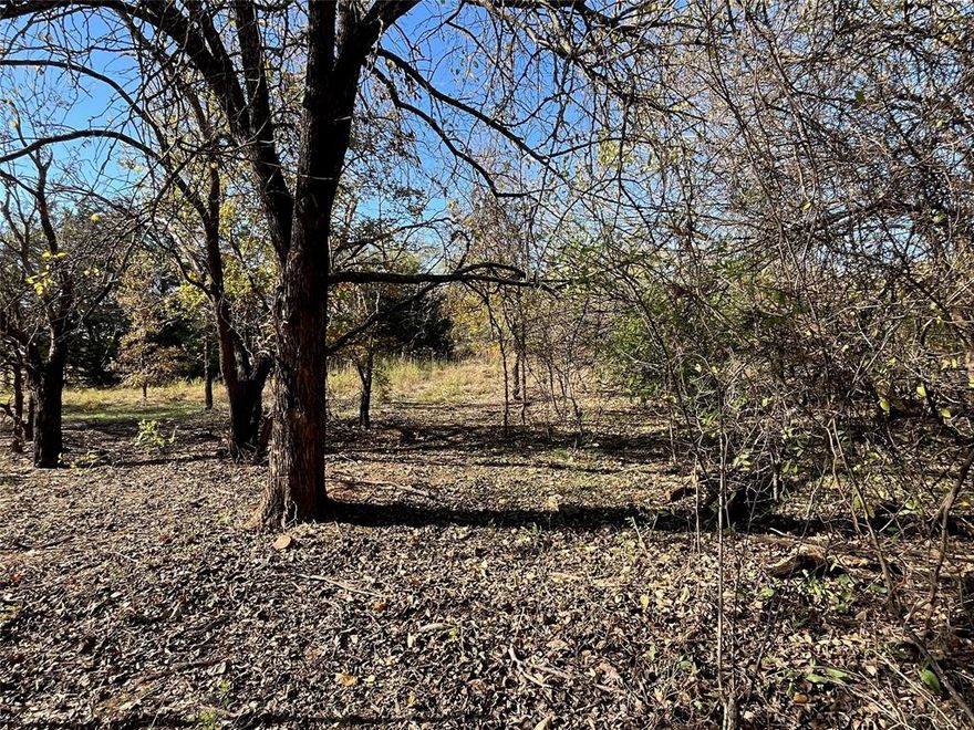 This beautiful property is waiting for you! Easy access; 10 minutes to I-35, 15 minutes to CTP, and only 10 minutes to the shopping in Burleson. Build or hold, this is a property is a must see! Easy access with remote feel and located in Johnson county, no city, and in Joshua ISD. This property is 0.4 mile south of Nichols Jr. High on FM 731.