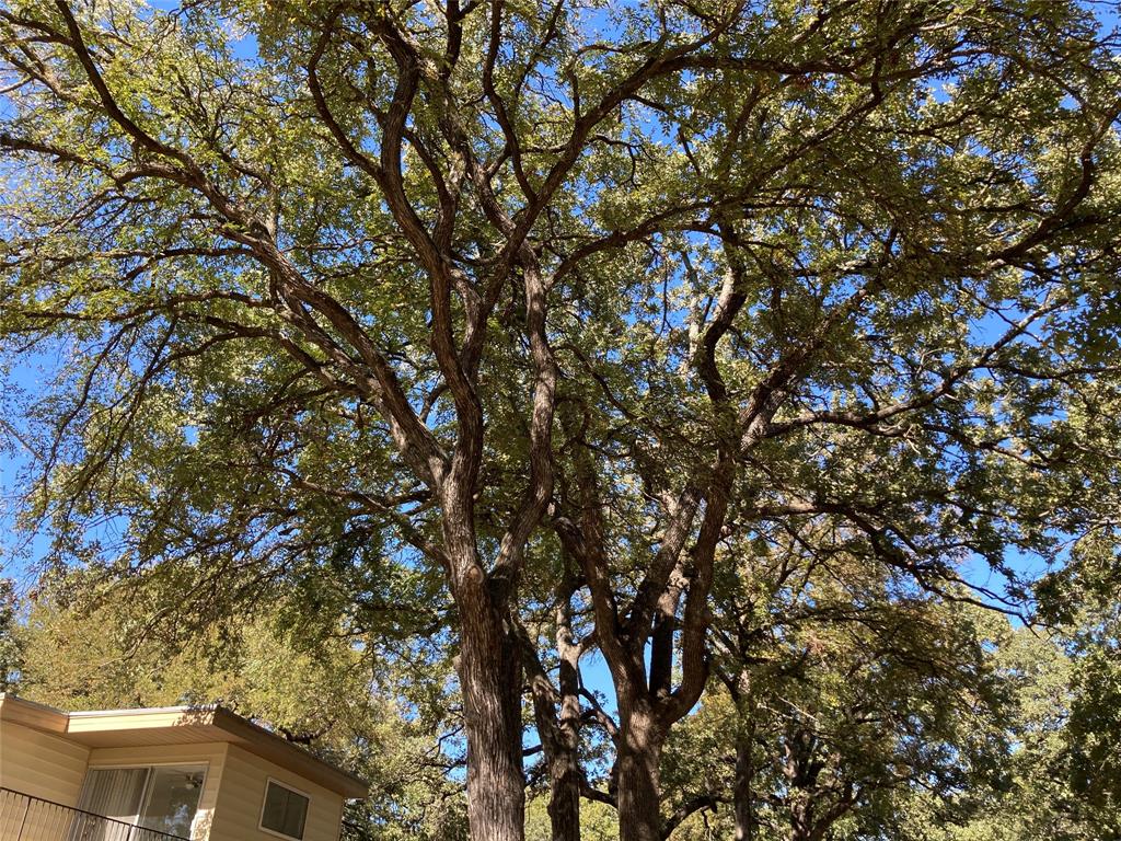 Oak Lane Sub - Residential