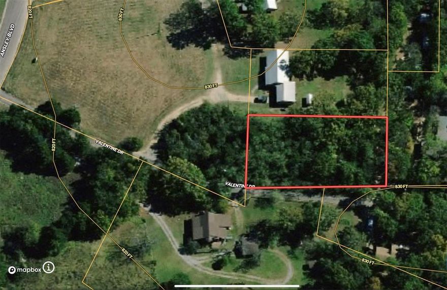 Have you been searching for a large lot in Denison to build your dream home? Or are you a builder looking for a truly unique location to build your next project. This location is near the action...Situated near HWY 120 west of Highways 75 & 120. Here you have easy access to highways, retail and dining options. This location does have city water available and electricity available. A septic system may be required in this location. Preliminary plat shows this could be two lots. Valentine can be the perfect location for you. Come check it out today.