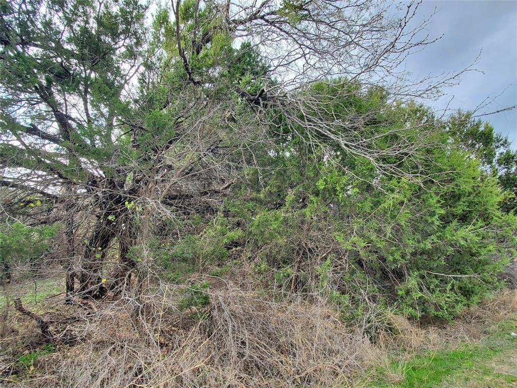 Canyon Creek III - Land