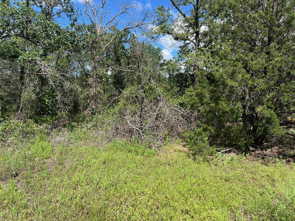 Ridgewood Add - Land