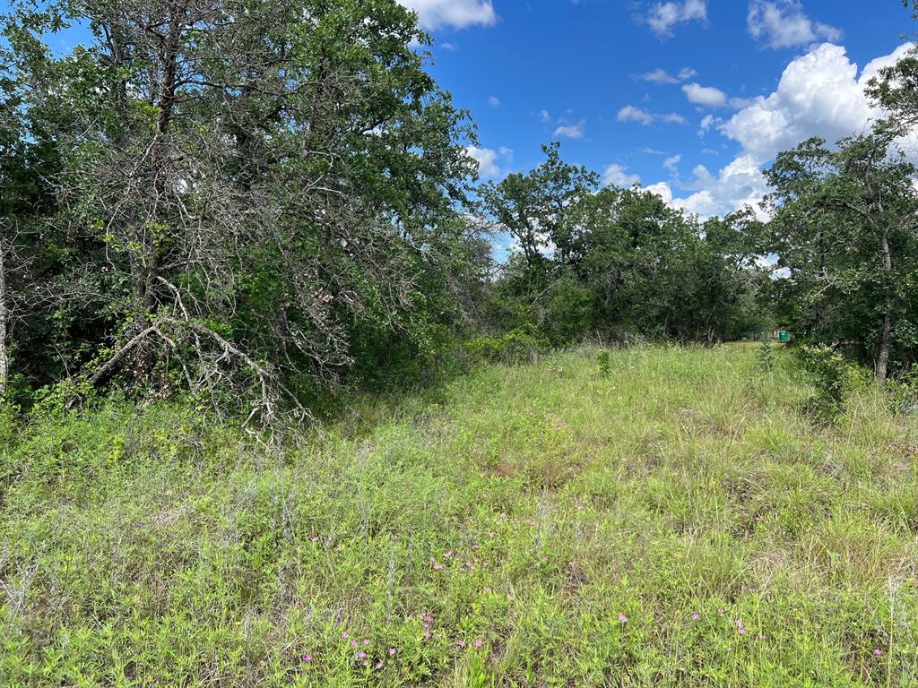 Ridgewood Add - Land