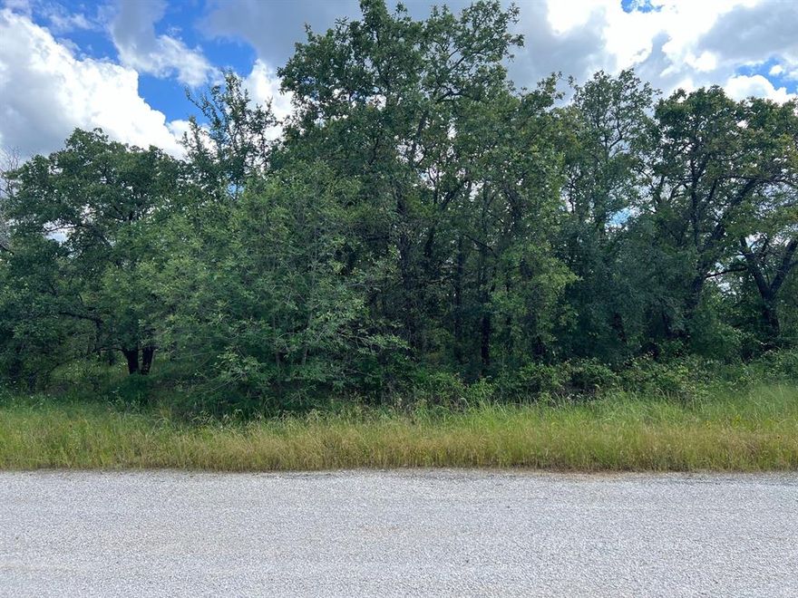 Beautiful small acreage gem located on Hog Mountain just outside of Mineral Wells city limits. This 1.718 acres is part of the nicely developed Ridgewood Addition. The lot is heavily treed which gives a sense of seclusion but also gives a buyer the potential to put their own touch and vision into it. Water will need to be added by the buyer with approval through Sturdivant Progress Water Supply Company. A septic system will also most likely be required. Adjoining property, mls 20475255, is also for sale.