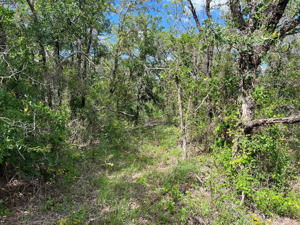 Ridgewood Add - Land