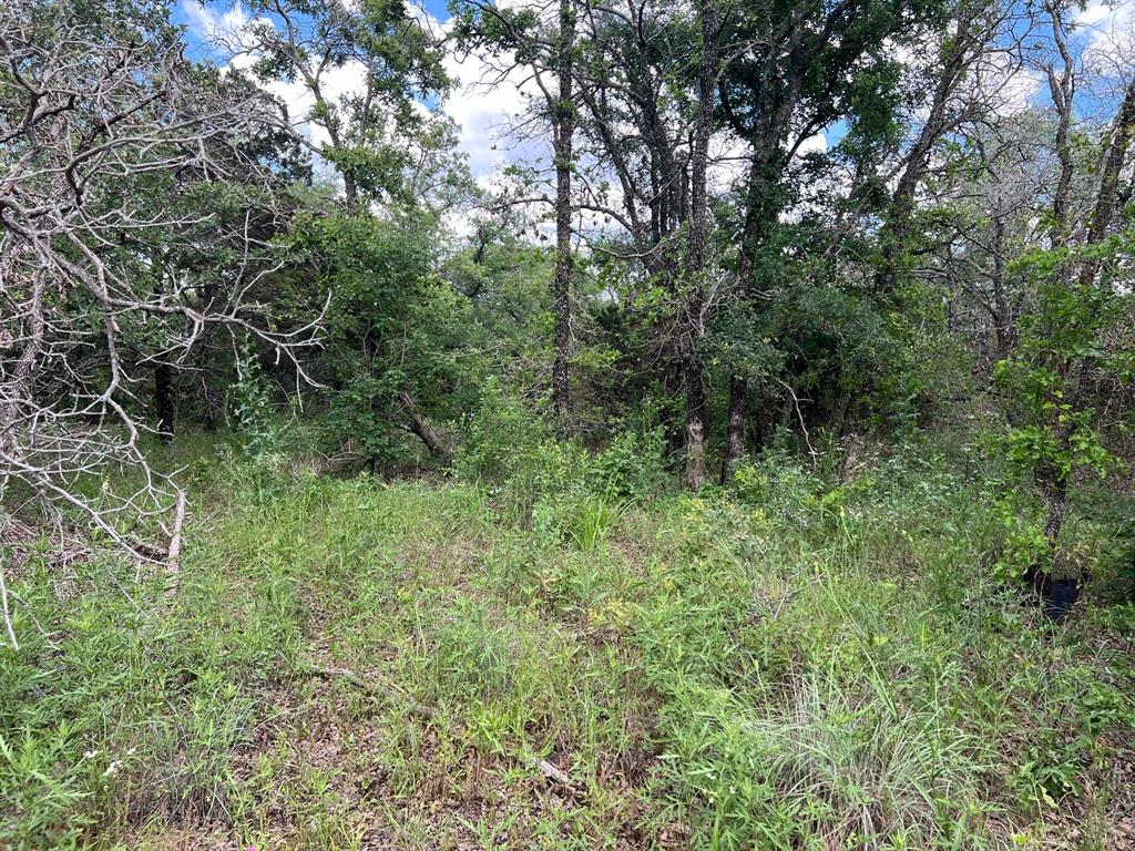 Ridgewood Add - Land