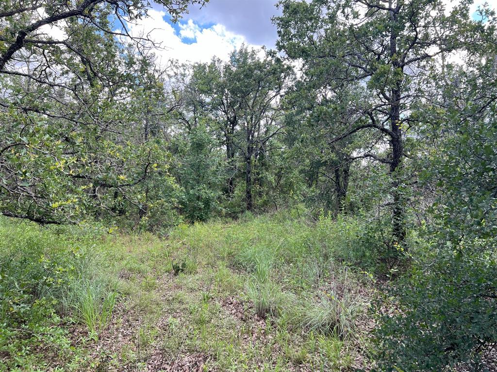 Ridgewood Add - Land