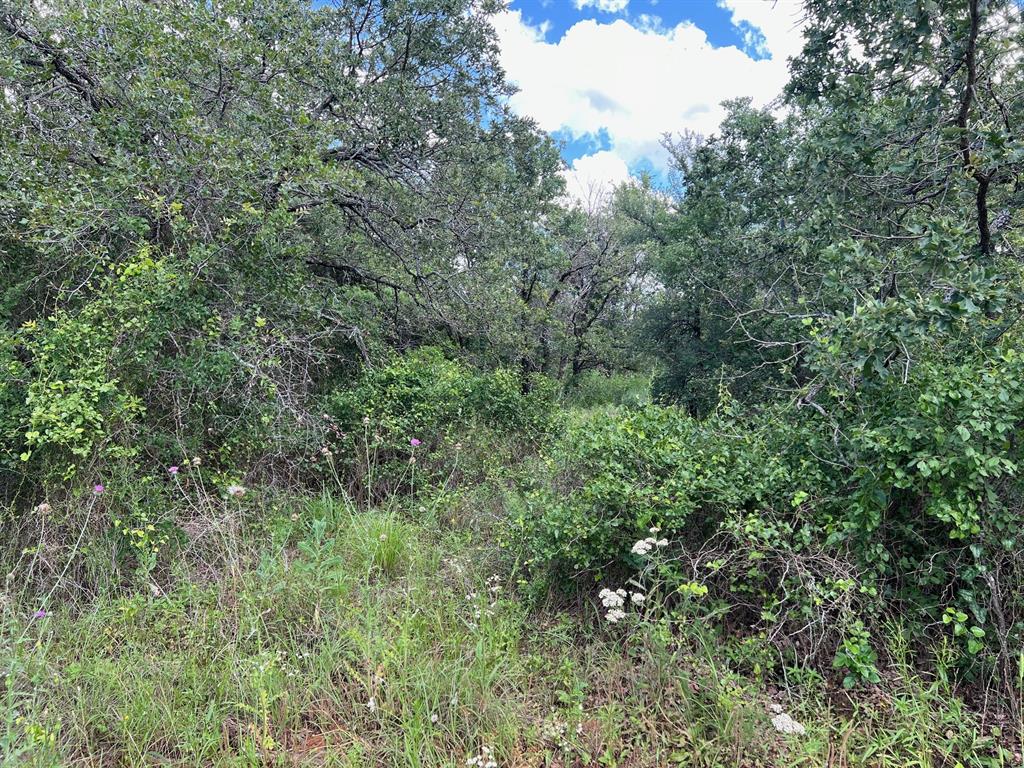 Ridgewood Add - Land