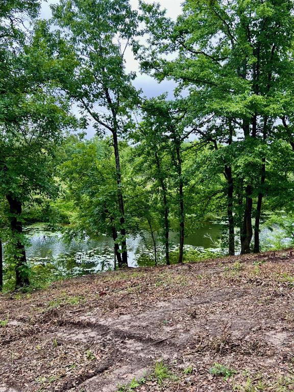 7721 County Road 4801