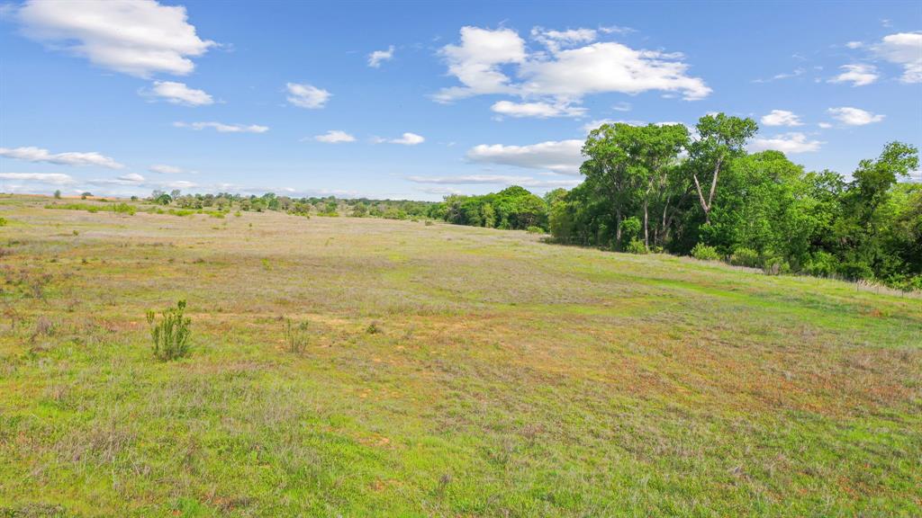 Mitchell Bend - Land