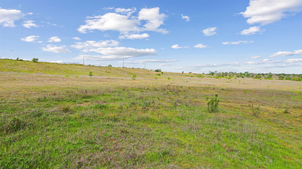 Mitchell Bend - Land