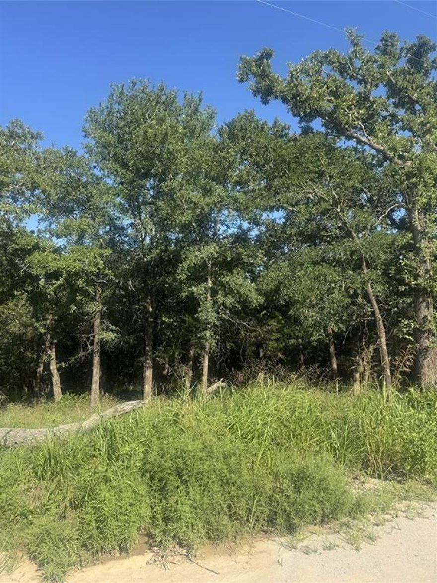 Come take a look at this beautiful 2.05 acre tract in the desirable Oak Haven Subdivision!.  Heavily wooded with mature trees, this property offers the perfect balance of privacy and natural beauty--an ideal spot to build your dream barndominimum or custom home. Mobile homes welcome.  Located just east of Bridgeport off Highway 380, you'll enjoy the peace and quiet of country living with easy access to town.  The deer roam freely on this property.  Don't miss this opportunnity to own a slice of Texas paradise.