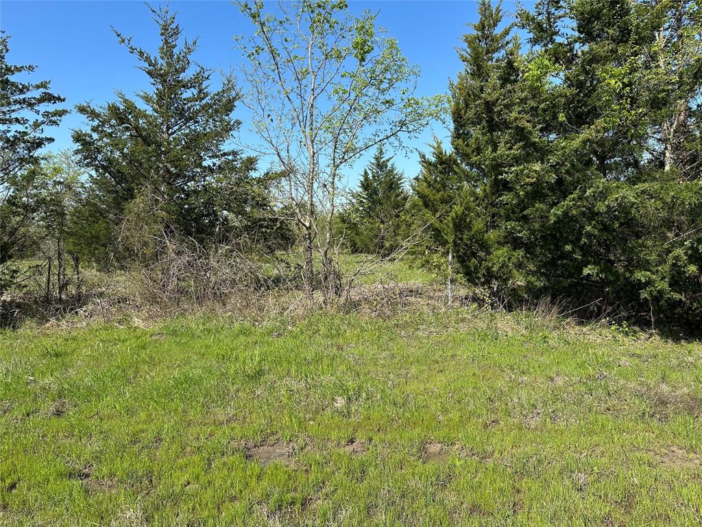 Tract 4 Farm to Market 1743