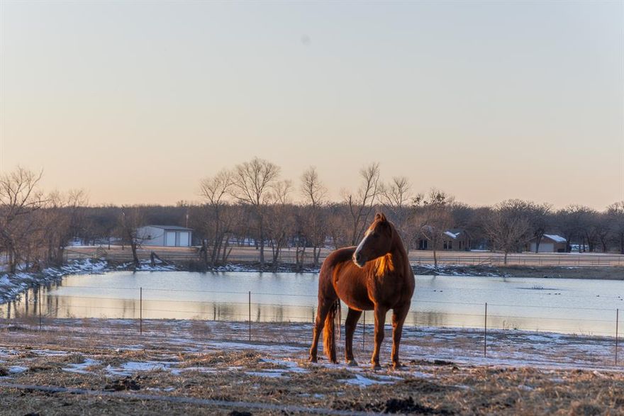 Welcome to your private North Texas ranch retreat—ideal as a full-time residence, weekend getaway, or exceptional family compound. Set on 31 scenic acres, this rare property offers peaceful country living just under 25 minutes from Denton and the DFW Metroplex.

At the heart of the ranch is a 6-acre stocked lake, perfect for trophy fishing and quiet afternoons by the water. Gently rolling pasture provides ample space for cattle or horses, blending beauty with functionality.

The 4,704 sq ft two-story log-cabin–style home features 5 bedrooms and 3.5 baths. The open-concept main level is designed for entertaining, with a spacious kitchen showcasing granite countertops, a large center island, and abundant cabinetry, flowing seamlessly into expansive living and dining areas. Oversized windows fill the home with natural light and capture sweeping countryside views, while a wood-burning stove adds warmth and rustic charm. The large dining area easily accommodates gatherings and guests.

Upstairs, a generous multipurpose room serves as a media, game, or entertainment space, offering flexible living options.

Just steps from the home is an impressive 5,000 sq ft barn with central heat and air and a full kitchen. Currently used for large gatherings, this versatile space could serve as a workshop, classic car garage, event venue, or— with minor modifications— a climate-controlled horse barn with stalls.

The grounds are beautifully maintained, featuring a manicured lawn, arched driveway, elegant nighttime lighting, and multiple water features. Additional highlights include ag-exempt taxes and Slidell ISD.

A truly rare opportunity to own a private ranch with wide-open space—without sacrificing convenience to DFW amenities.