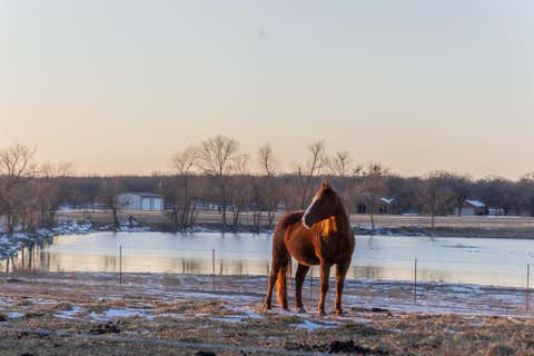 Featured picture for the property 21172603