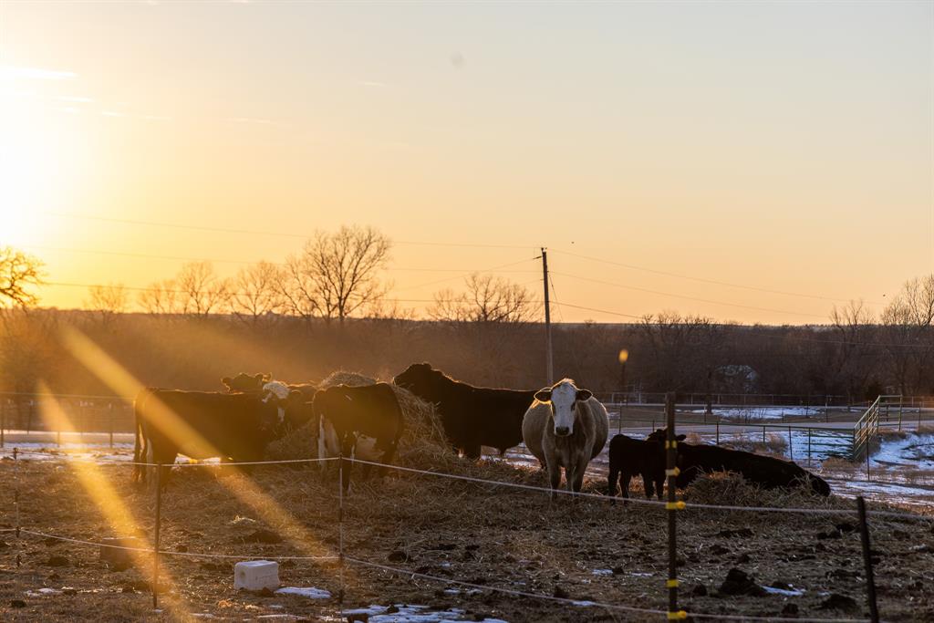 Rolling Hills - Farm