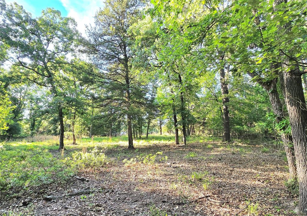 Lot 377 Timber Ridge