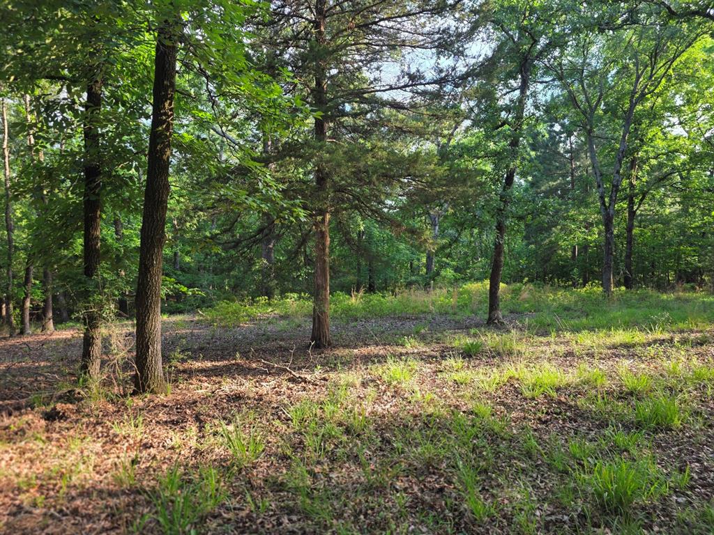 Lot 377 Timber Ridge