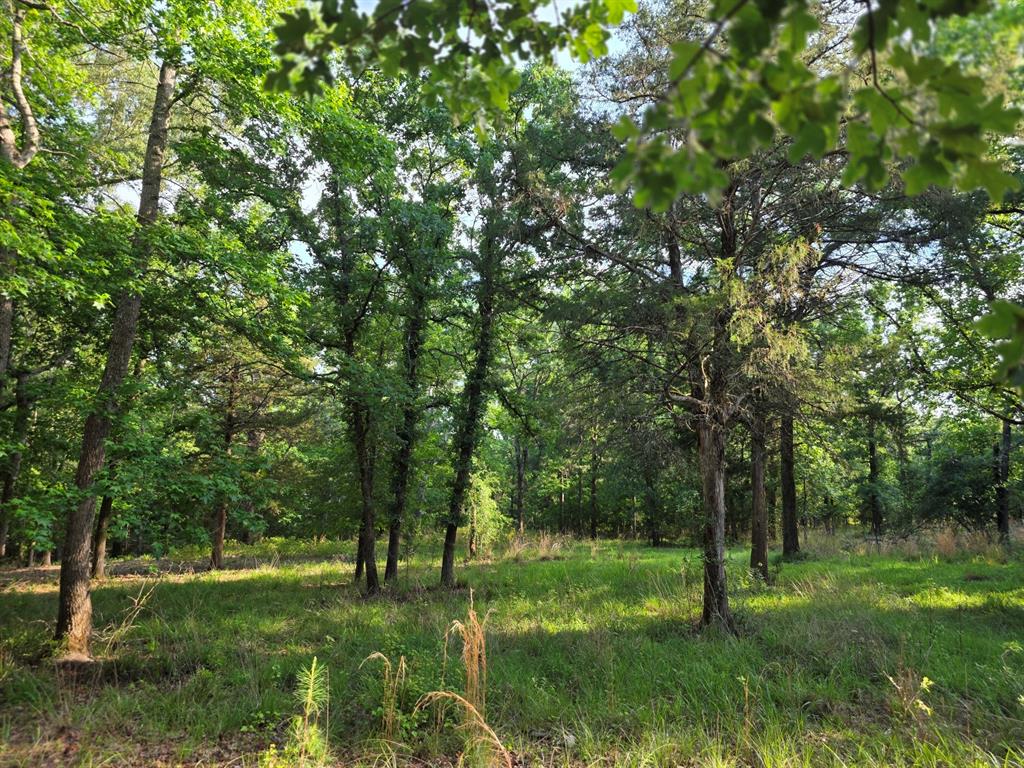 Lot 377 Timber Ridge