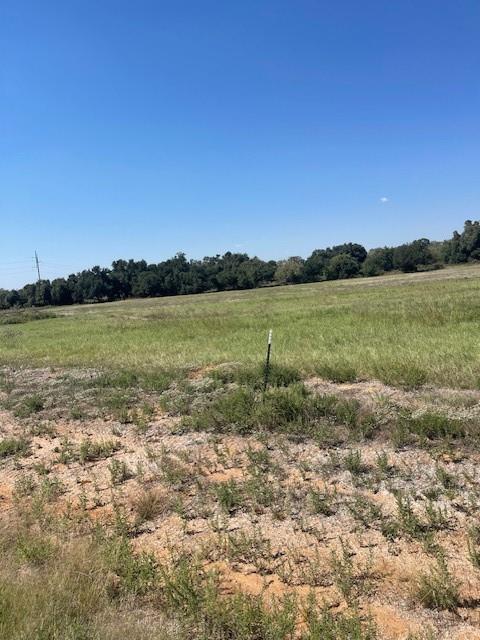 Monarch Manor PH 2 - Land