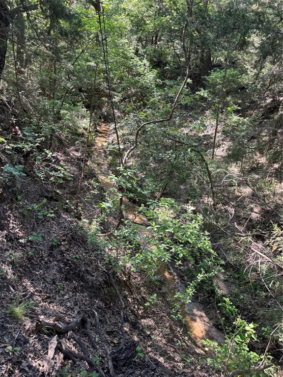 Old Decatur Estates - Land