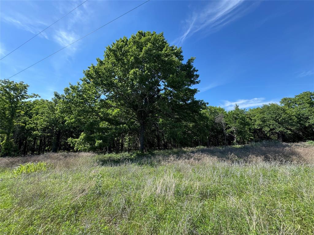 Old Decatur Estates - Land