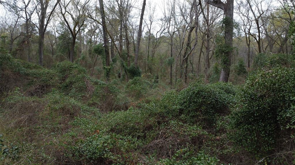 00461 - Land
