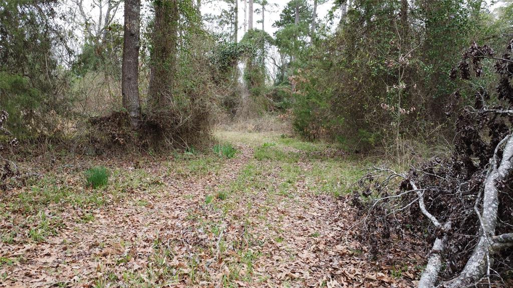 00461 - Land