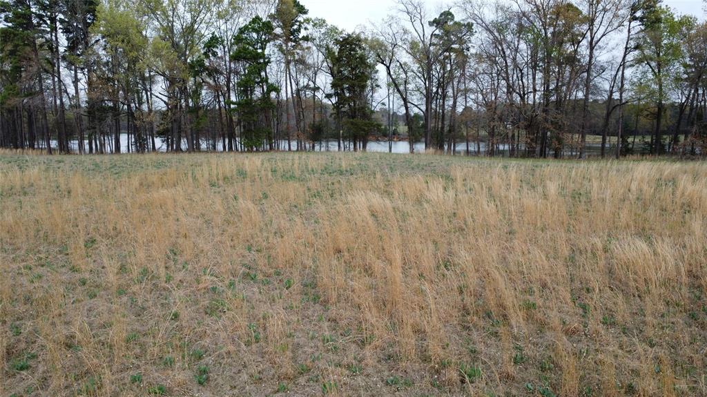 00461 - Land