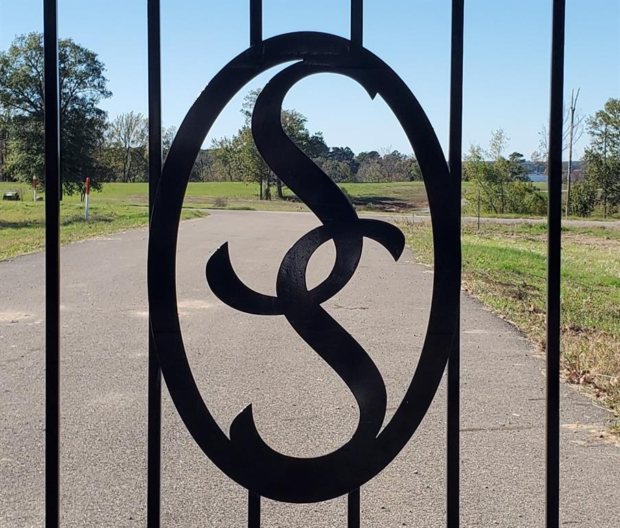 SOUTHSHORE AT LAKE BOB SANDLIN - Land