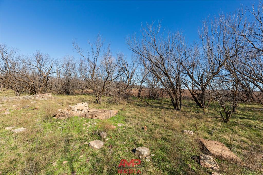 Orphan and Asylum - Farm