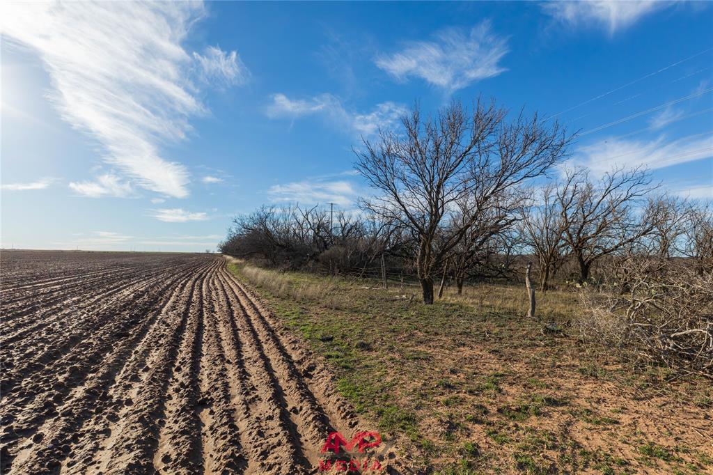 Orphan and Asylum - Farm